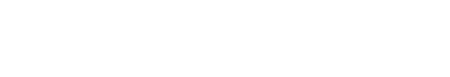 Light Logo